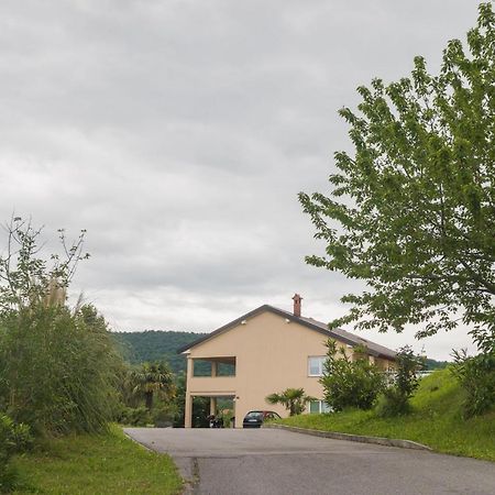 Studio Elli Koper Luaran gambar